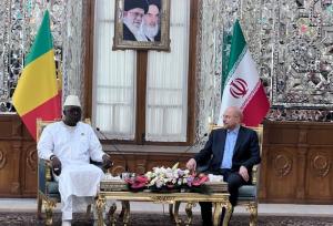 دیدگاه ایران،توسعه روابط با کشورهای قاره آفریقا است