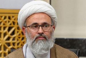 دشمن از ماهیت فرامذهبی مرجعیت واهمه دارد