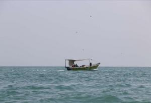 وزش باد شمال‌شرقی و غبار محلی در سواحل و جزایر هرمزگان