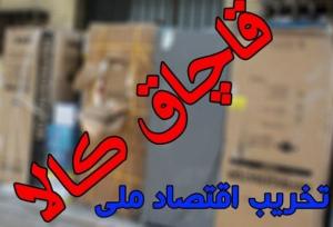 توقیف خودروی حامل ماهی قاچاق در شهرستان پارسیان