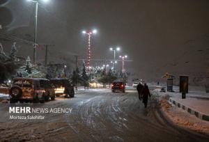 بارش سنگین برف در شهرستان پاوه