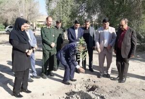 نهال سلامت در بیمارستان شهدای دهلران به مناسبت روز پرستار کاشت شد