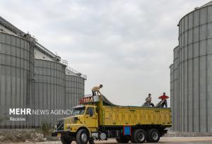 مومنی: ایجاد هاب تأمین غلات در شمال کشور اولویت مازندران است