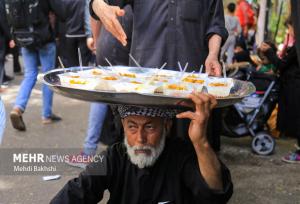 آمادگی ۱۶۷ موکب از استان قم برای خدمت‌رسانی در اربعین