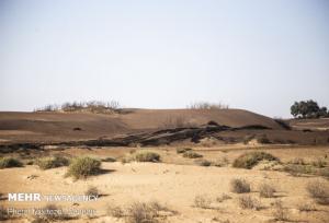 تأکید بر استانداردسازی مواد تثبیت‌کننده خاک در یک کارگروه ملی