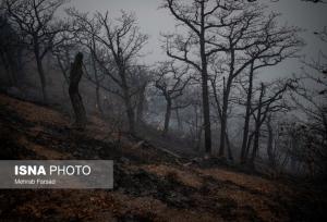 آتش‌سوزی جنگل‌های الیت مهار شده است