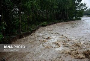 خسارت سیلاب به خانوارهای عشایری ایلام در پی بارندگی‌های اخیر
