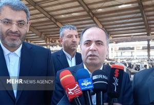 وزیر جهاد: واردات ۲۰۰ هزار تُن گوشت قرمز در دستور حذف است