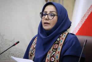 کمانی: سند تحول فرش دستباف در کشور تدوین شد