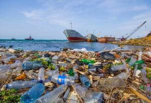 سواحل تفریحی بوشهر بیشترین آلودگی پلاستیکی را دارند