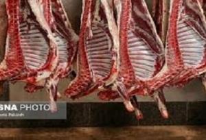 توزیع ۲۲۰ تن گوشت گوساله منجمد برای تنظیم بازار در خراسان رضوی