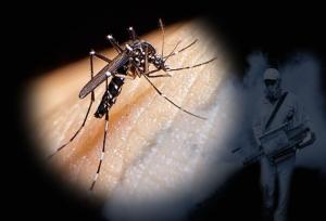 خطر ۴ بیماری مهم پس از بارندگی‌ها جزیره را تهدید می کند