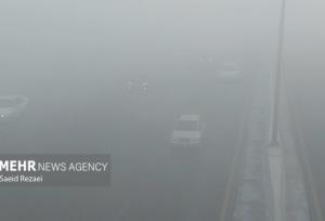 مه غلیظ صبحگاهی در بوشهر