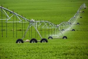 سرپرست جهادکشاورزی فارس: حرکت به سمت کشت‌های کم‌آب‌بر یک الزام است نه انتخاب