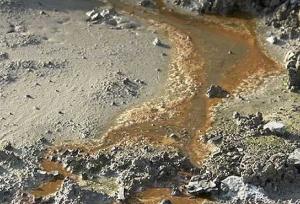 تهدیدات خاک ایران، از تغییر کاربری بی‌رویه تا کشاورزی ناپایدار