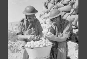 ۱۰ عکس عجیب و خنده‌داری که هرگز در زندگیتان ندیده‌اید