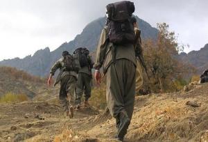 حزب کارگران کردستان ترکیه منحل شد