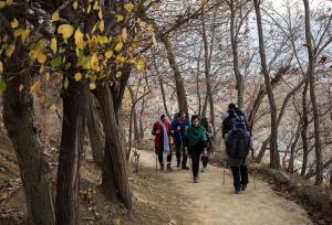 احداث سرویس بهداشتی در این مکان برای تهران دردسر شد