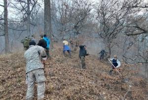 پلان آخر آتش‌سوزی جنگل الیت