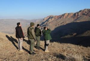 جباری: سرشماری حیات وحش منطقه حفاظت شده مراکان پایان یافت