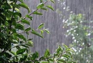پیش بینی بارش باران در برخی نقاط خراسان رضوی