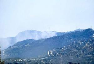 حزب الله شهرک راموت نفتالی را به آتش کشید+فیلم