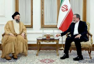 حکیم: امروز کشورهای منطقه و جهان پی به قدرت ایران برده‌اند