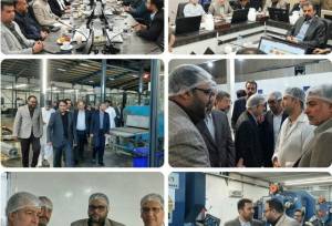 بازدید مدیران صنعت، معدن و تجارت منطقه ۵ کشور از واحدهای صنعتی کنارک