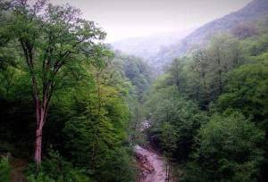 رویای جنگل‌های مازندران سبز می‌شود؛ ایجاد پایگاه اطفای هوایی حریق