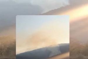 وقوع حریق در گونیکی کلاله/ حضور فوری نیروهای یگان حفاظت در محل حادثه