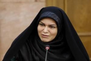 خدادادی: کاهش بودجه فرهنگ  باعث تضعیف نفوذ نرم بین‌المللی خواهد شد