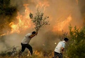 امسال ۱۷ هکتار از مراتع اصفهان در آتش سوخت