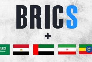 سومین اجلاس کارشناسان ارشد انرژی BRICS برگزار شد