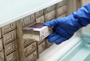 ایجاد «بیوبانک بافت مغز» تا ۱۴۰۷؛ نگهداری بافت‌های مغزی برای مطالعات