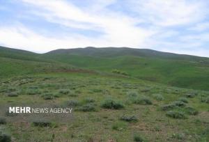 ۹۰ درصد مراتع سیستان و بلوچستان بدون طرح بهره‌برداری و حفاظت