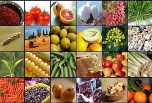 استفاده از ظرفیت سفرا در بازاریابی برای محصولات کشاورزی