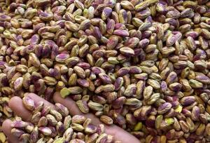 رفسنجان در آستانه تغییر الگوی صادراتی پسته