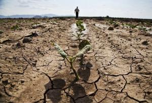 پیش‌بینی گرمای سال ۲۱۰۰، الان در حال تحقق است/تبخیر سالی یک متر از ارتفاع آب دریاچه ارومیه