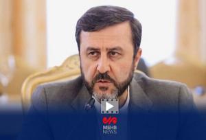 واکنش غریب آبادی به اظهارنظر صدراعظم آلمان درباره فعال شدن اسنپ بک