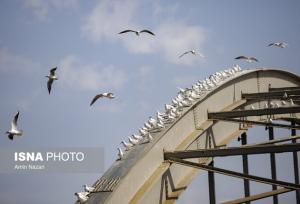 دمای خوزستان افزایش می‌یابد