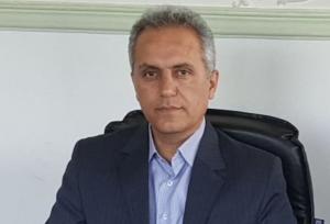 سپری: ۶.۲ درصد سیب زمینی کشور در کردستان تولید می‌شود