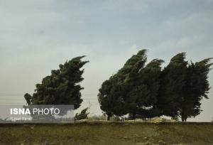 وزش باد نسبتاً شدید و احتمال بارش پراکنده در زنجان