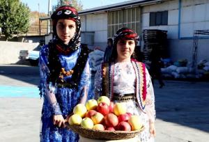 جشنواره سیب بروجرد برگزار شد