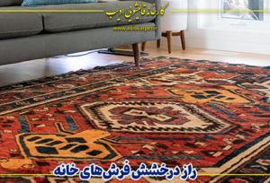 راز درخشش فرش‌های خانه، تجربه واقعی مشتریان از قالیشویی ادیب تهران و کرج