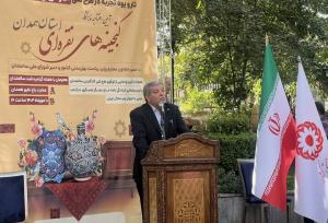 اقتصاد نقره‌ای، موتور توسعه پایدار کشور؛همدان پایلوت ملی مشاغل سالمند