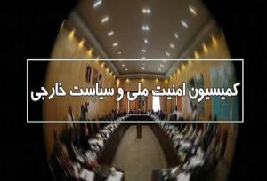 نمایندگان کمیسیون امنیت ملی در برخی از مجامع و شوراها تعیین شدند