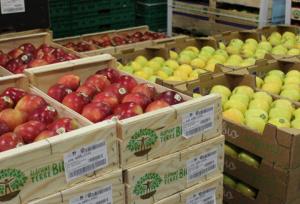 افزایش ۴۵ درصدی صادرات از گمرک خسروی