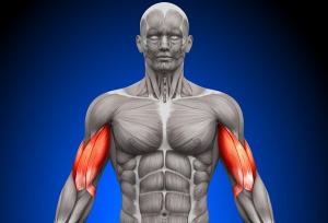 نامه مولکول‌های بدن به یکدیگر فاش شد