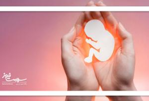 فریز تخمک و جنین؛ راهی علمی برای داشتن فرزند در آینده