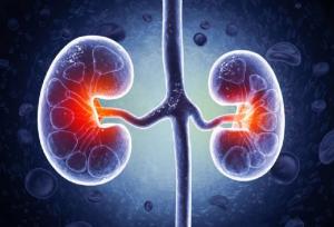 داروهای گیاهی می‌توانند به نارسایی کلیه منجر شوند 